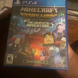 Minecraft “STORY MODE”