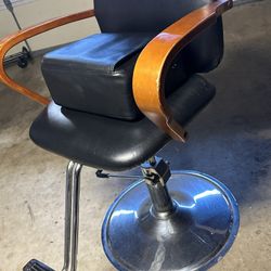 Salon Chair