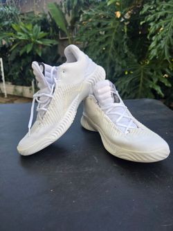 Adidas White Low-Top size 10.5man
