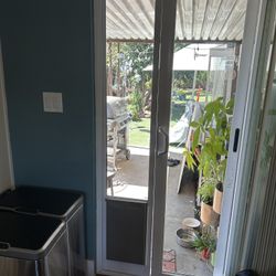 Glass Doggy Door Large