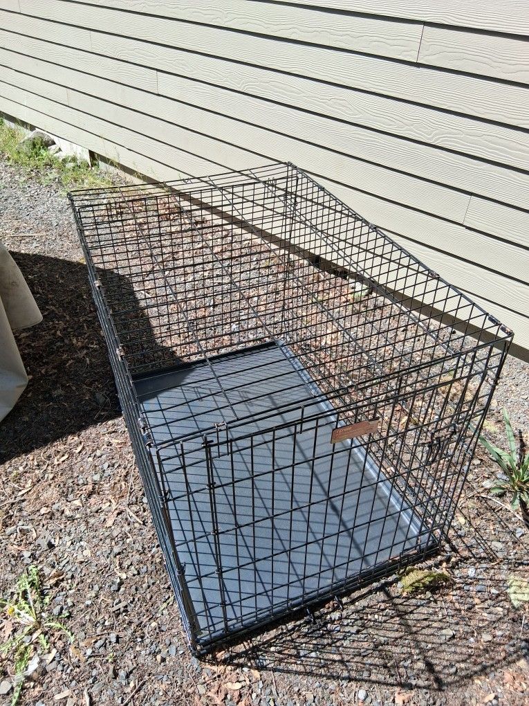 Large Dog Cage
