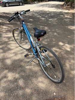 Comfort Bike
