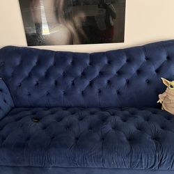 Blue Velvet Sofa And Love Seat