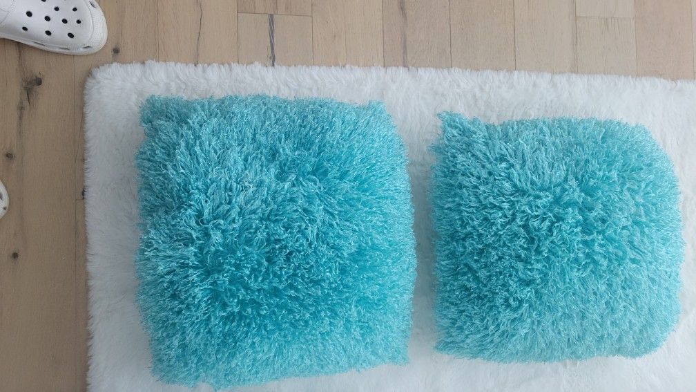 Torquoise Shag Pilloe Set