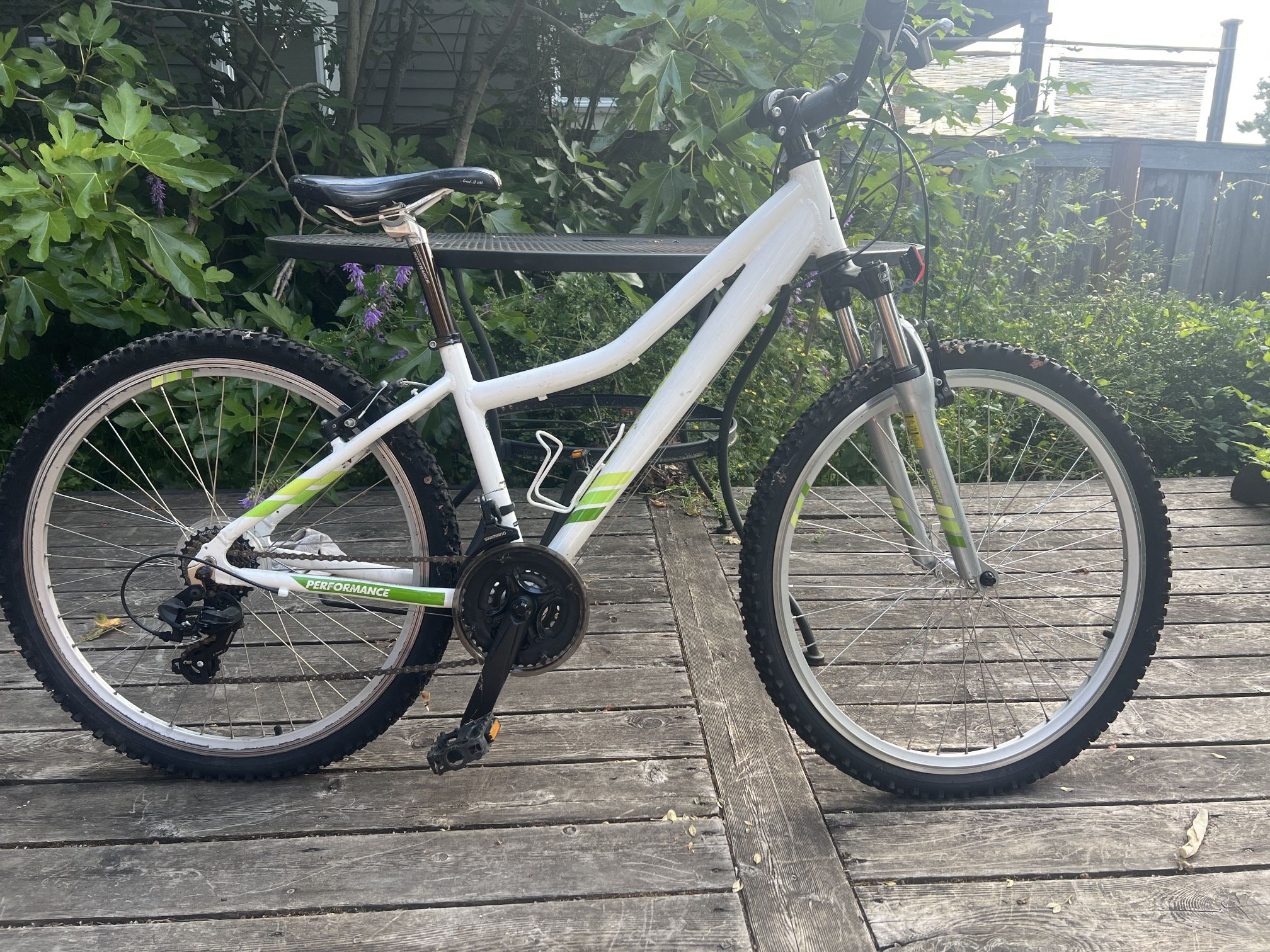 Free Teen Girl/ Small Women’s Bike