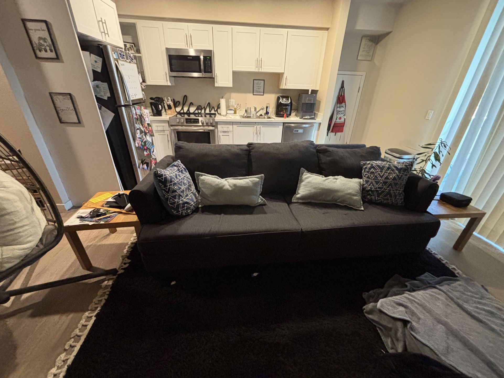 FREE PULL OUT SOFA