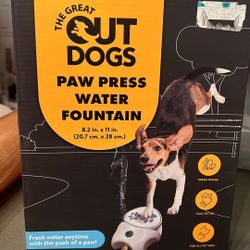 Dog Water Fountain