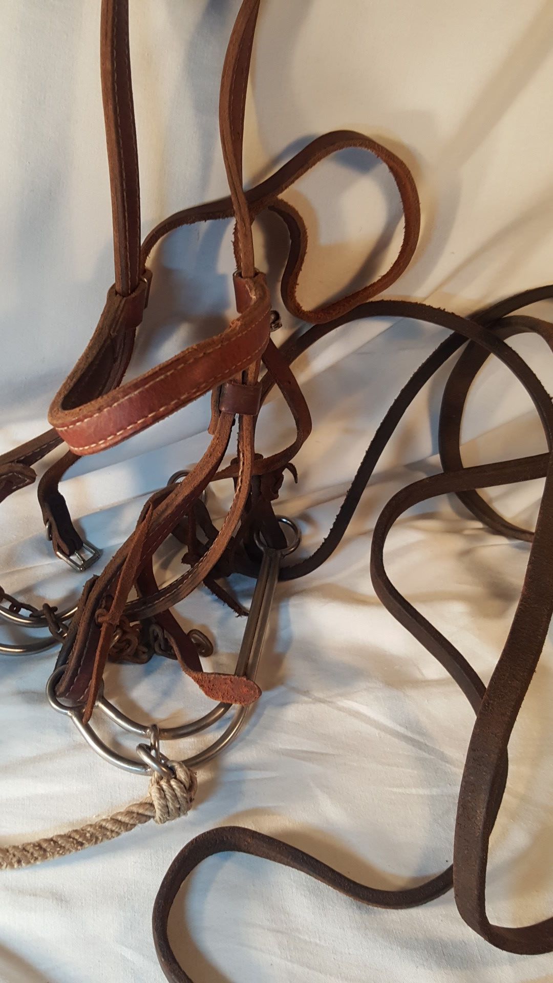 Leather horse bridle