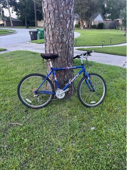 Vintage Trek
