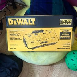 Dewalt 20volt Miri Port Charger
