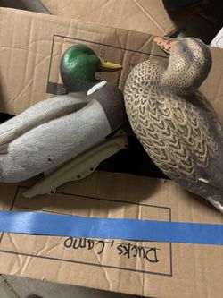 Duck Decoy
