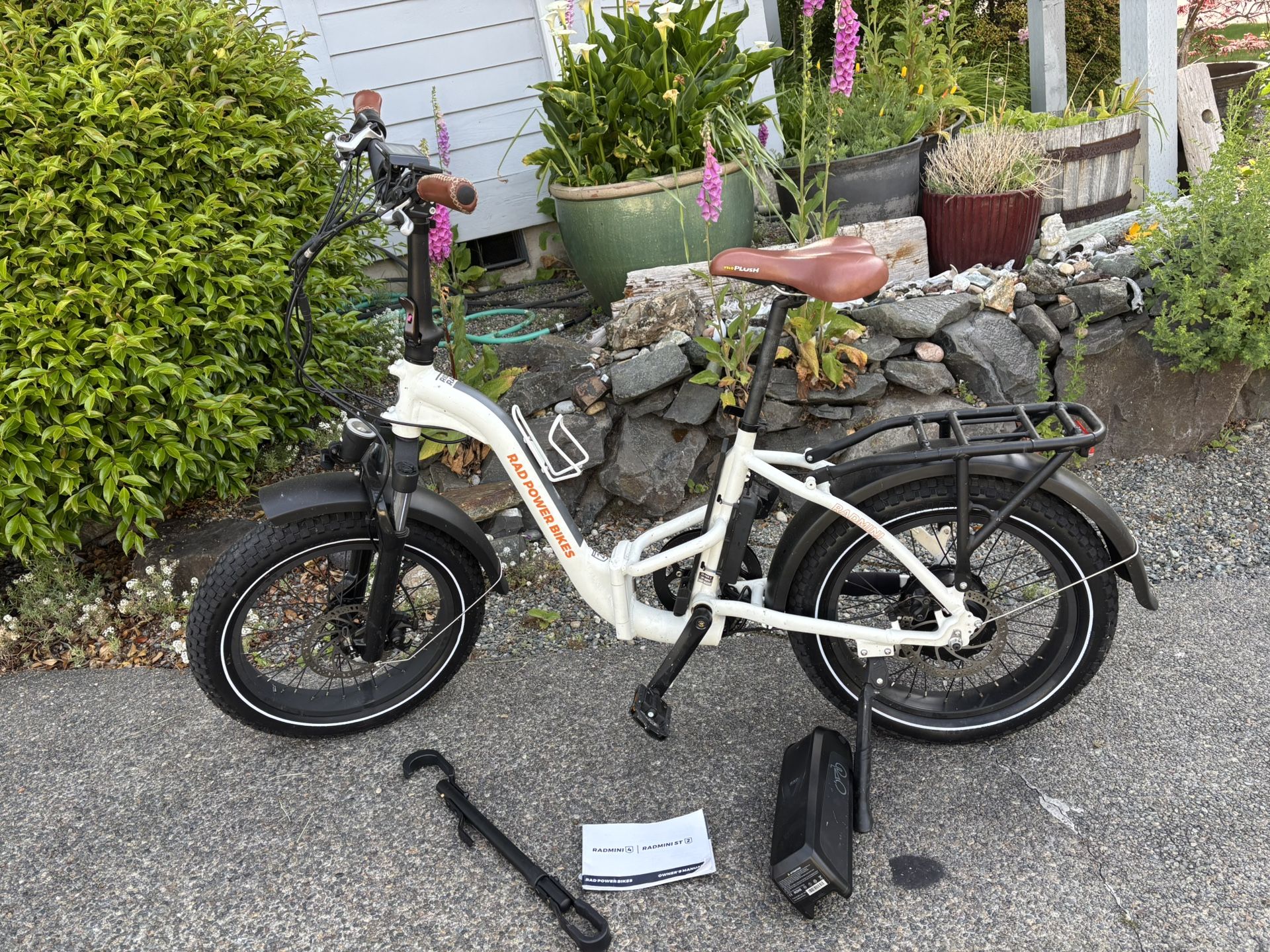Rad Mini Step Through E-bike