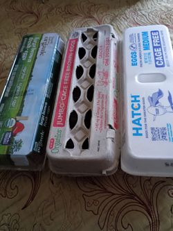 33 Empty Egg Cartons FREE!