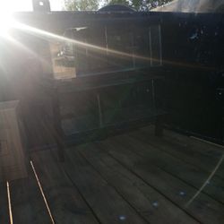 Large Lizard/ Fish Tank 