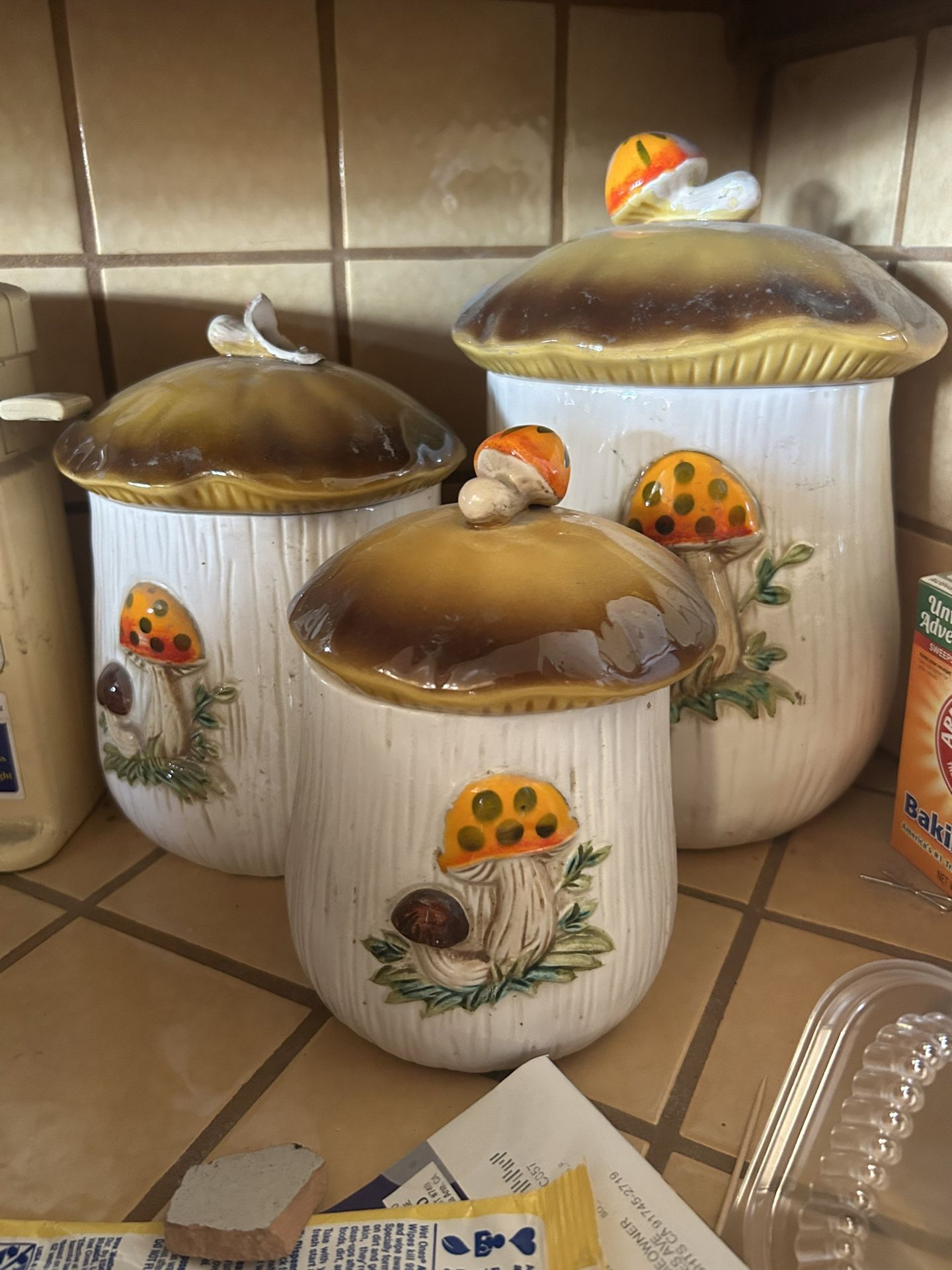 Vintage Sears Merry Mushrooms Canister