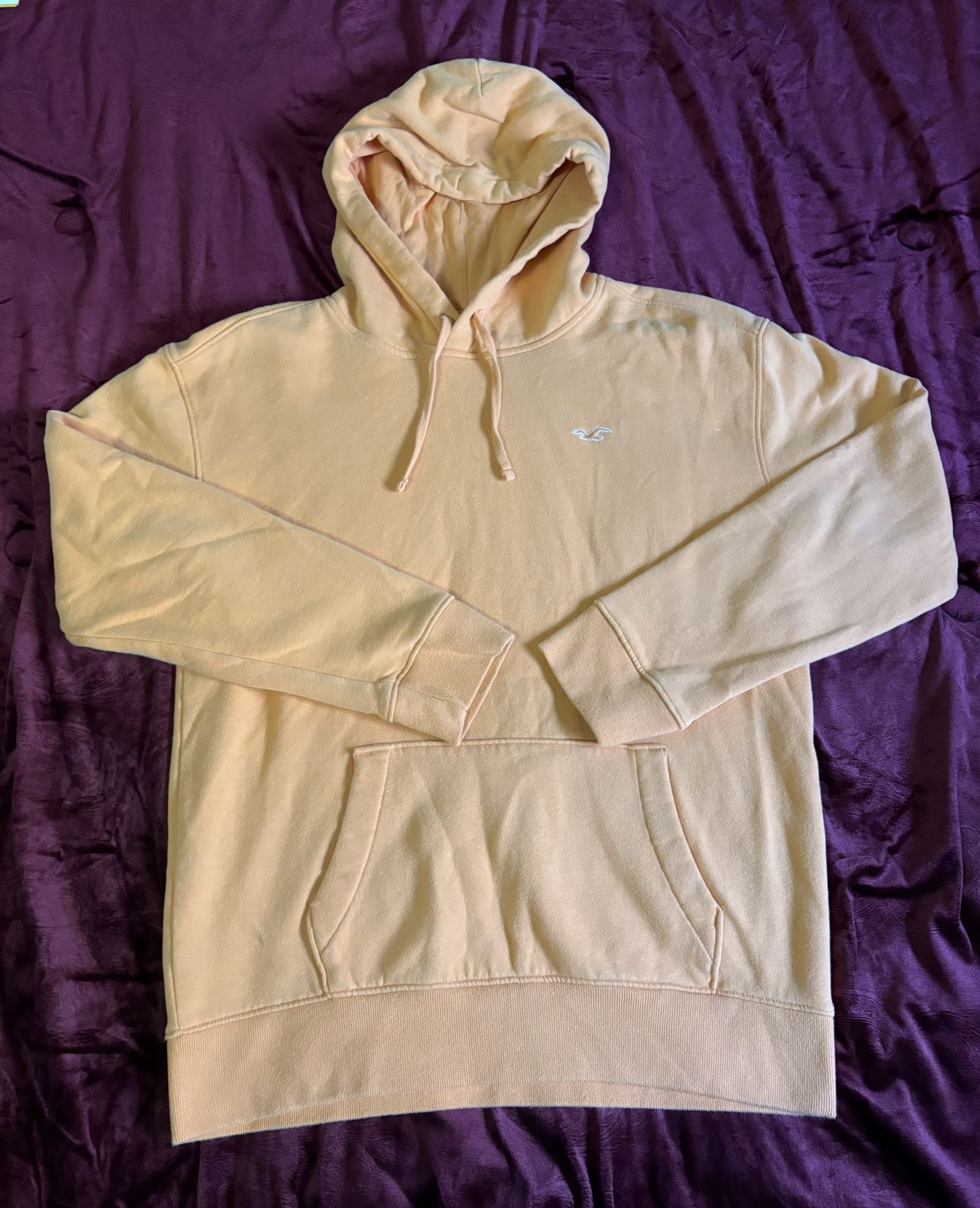 Men’s Size Medium Hollister Hoodie