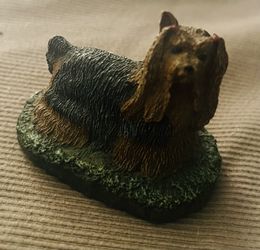 Yorkshire Terrier Marshe Richardson Cold Bronze 