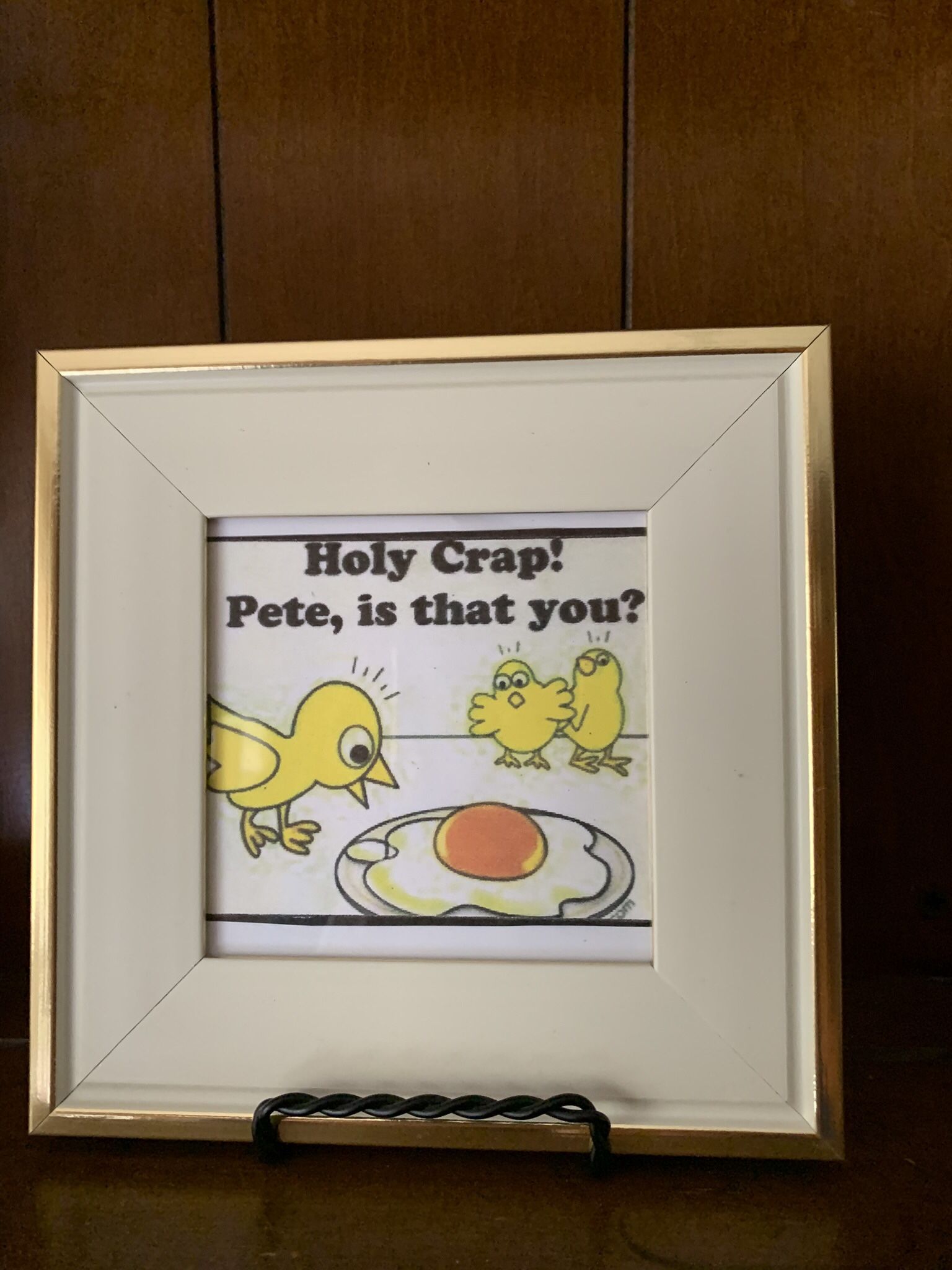 Hilarious Egg Picture