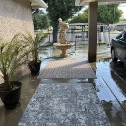 Indoor And Outdoor Rugs