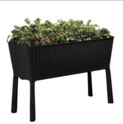 Garden Raised Bed