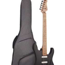 Electric Guitar 