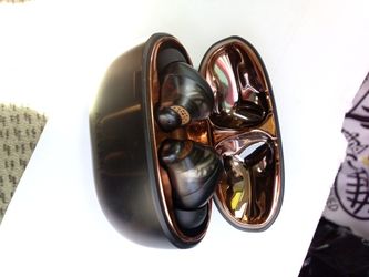 Aurvana Ear Buds