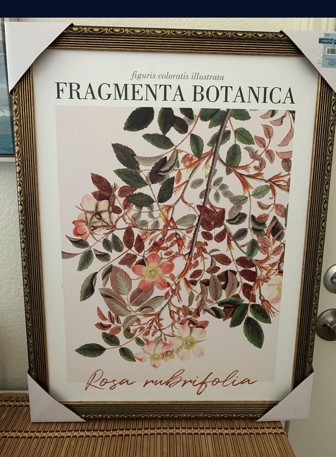 Botanical Wall Art