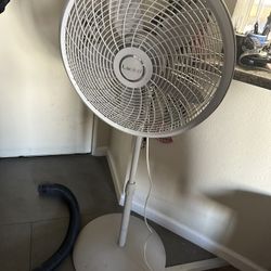 Fan