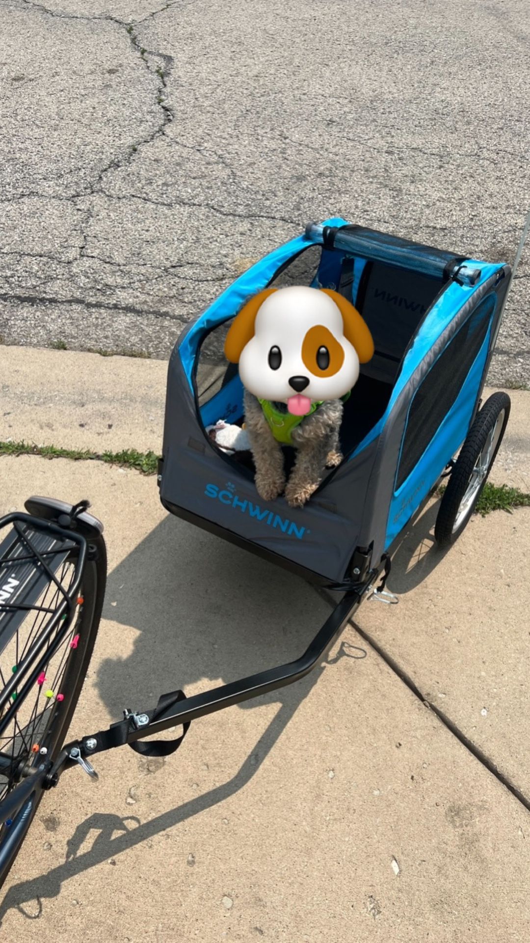 Bike Dog Trailer (50lb Max)