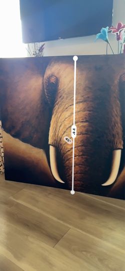 Large elephant canvas picture