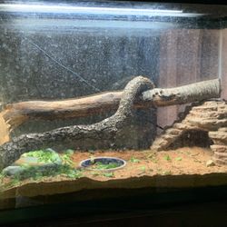 29 Gallon Reptile  Tank