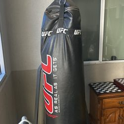 UFC Punching Bag
