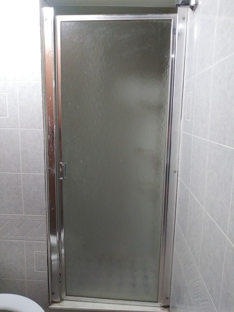Glass Shower Door