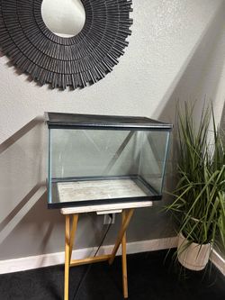 Glass Aquarium