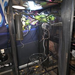 Chameleon Tank And Accessories