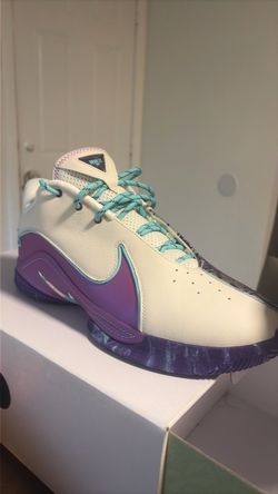 LeBron xxll  shoes