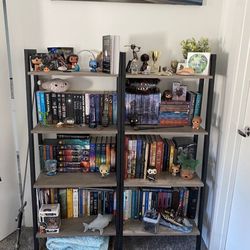 2, 4-Tier Bookselves 