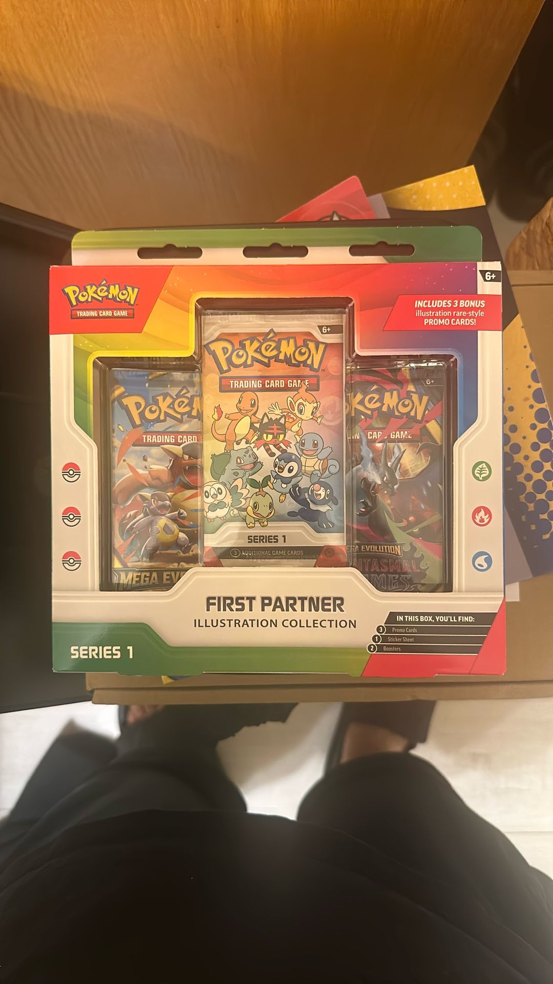 Pokémon First Partner Illustration