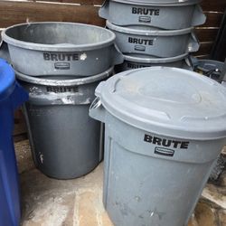 Brute Trash Cans With Lids 20 Dollars Each