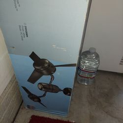 Ceiling Fan