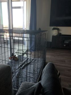 Large Cage For Dog Bed Not Included