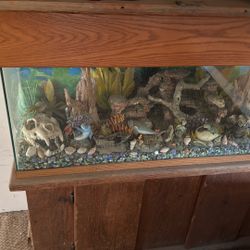 Fish Tank For Sale 