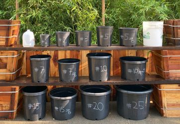 Nursery Pots ~ All Sizes ~ Inventory Clearance