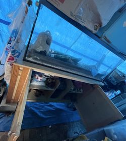 55 Gallon Fish Tank