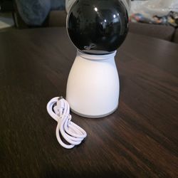 Cat Laser Game (Rechargeable) 