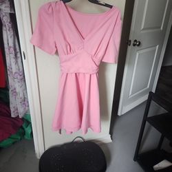Shein Pink Dress 1x
