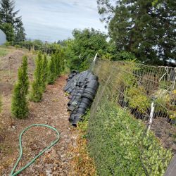 Plastic Pot For Planting 