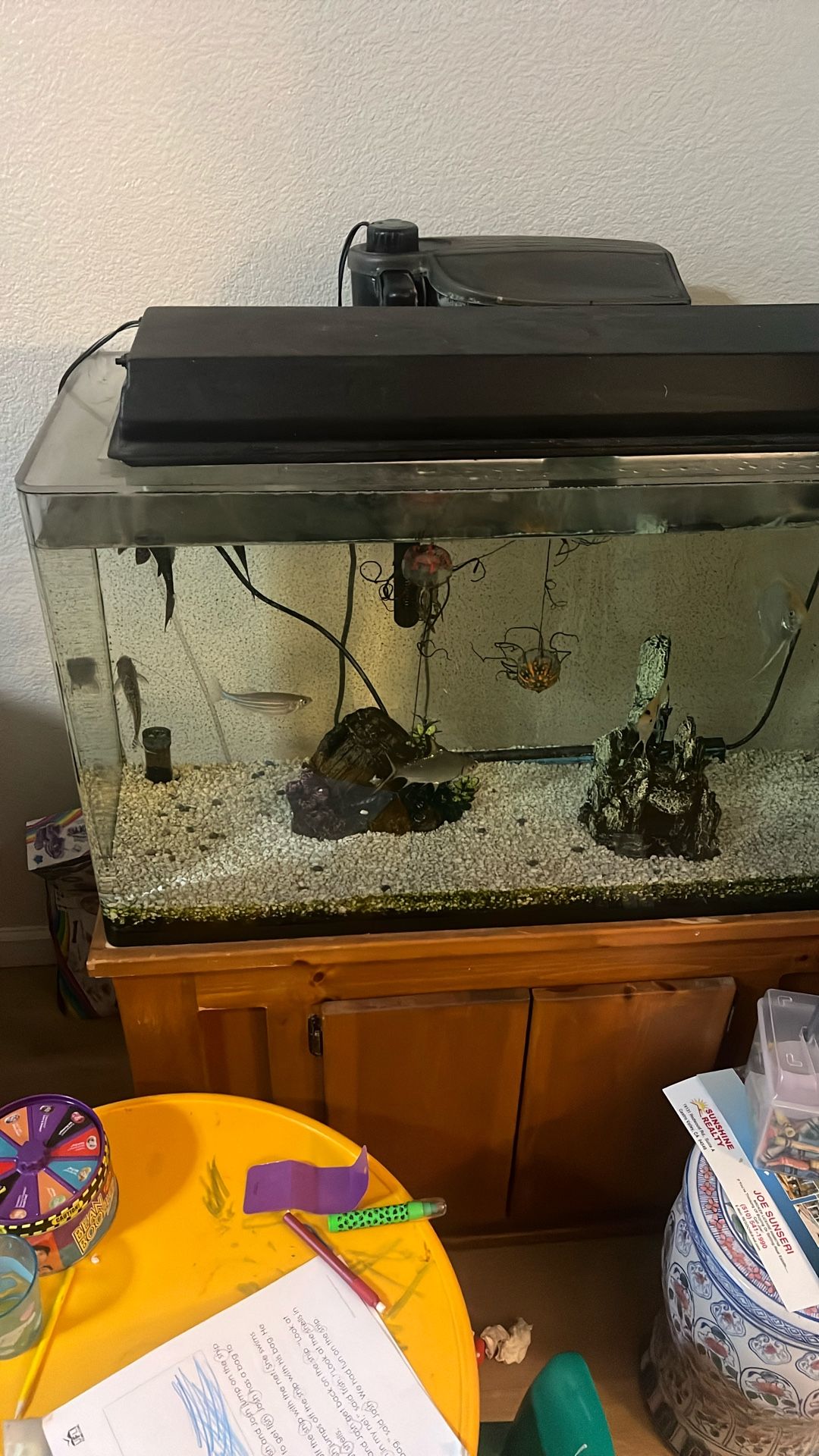 50 Gallon Fish Tank And Stand $100