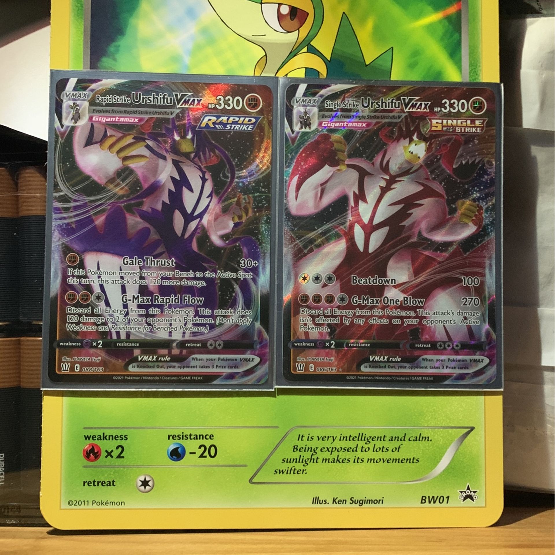Urshifu Vmax Pokemon Cards