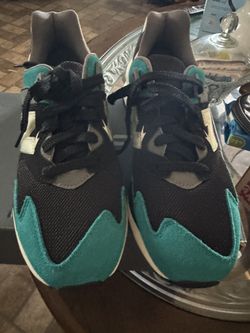 Tenis